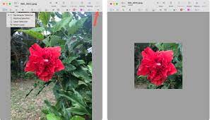 how to crop an image on your mac