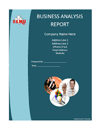 Business Analysis Report Template Mobile Discoveries