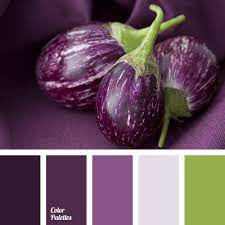 Color Of Eggplant Color Palette Ideas