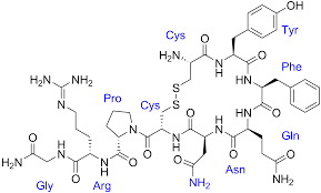 Vasopressin Medication Wikipedia