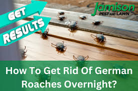 how to get rid of german roaches overnight