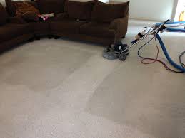 our work carter s carpet