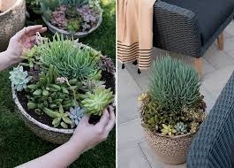 Roundup Large Outdoor Planters Room