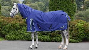 best lightweight turnout rugs with 50
