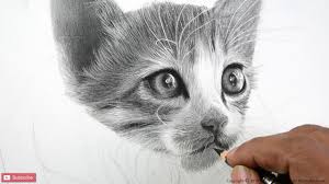 Use circles and ovals to create the different forms found in your pup's face, and draw very faint horizontal and vertical. How To Draw Hyper Realistic Dog Sketch Portrait Sketch Of Dog Timelapse Pencil Perceptions Youtube