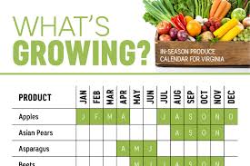 Whats In Season Virginia Produce Calendar Infographic