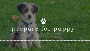 Maybe you would like to learn more about one of these? Prepare For Puppy Skill Sharper Seminar Cancelled Faithfully Yours Dog Training Certified Dog Trainer In Jackson Ms