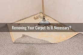 put vinyl planks over your carpet