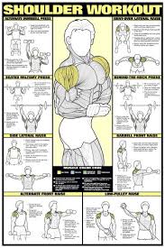 Shoulder Workout Mens Professional Fitness Wall Chart