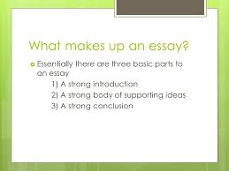  essay  wrightessay a persuasive paragraph  writing strong introductions   grammar english corrector  Allstar Construction