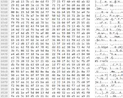 Converting Binary Decimal And Hexadecimal Packetfun Com