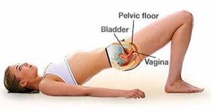 strengthening pelvic floor muscles