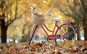 320 bicycle wallpapers