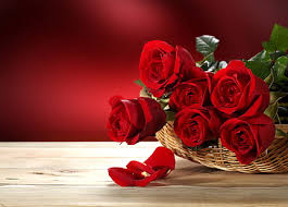 hd wallpaper red rose flowers love