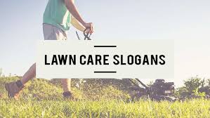 Nope , this is not like that. 115 Catchy Lawn Care Slogans Taglines For Your Business Venture F0rth