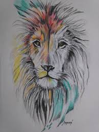 lion drawings sketch a day