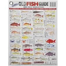 Vinyl Fishing Guide Poster Qld