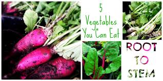 5 Vegetables You Can Eat Root To Stem Gateway Greening
