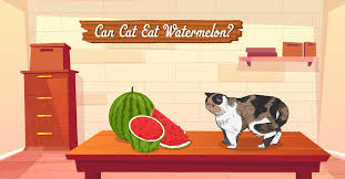 Can cats eat raw fish? How Why Can Cats Eat Watermelon Definitive Guide