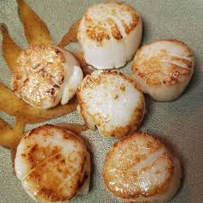 calories in 1 scallops and nutrition facts