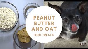 no bake peanut er and oat dog
