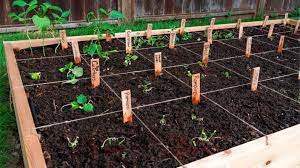 Square Foot Garden Spacing What You