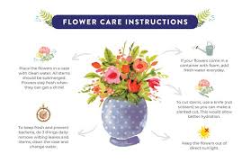 Dry flowers in minutes instead of weeks by using a microwave. Product Care Instruction Same Day Flower Delivery Best Rated Online Flower Shop Awesome Gift Ideas