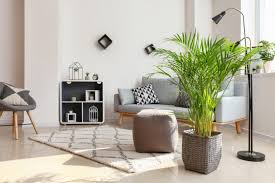 decorate a living room with plants