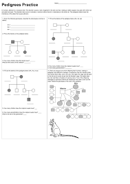 Pedigrees Practice The Biology Corner