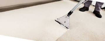carpet cleaning services more in