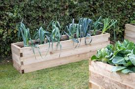 Caledonian Trough Raised Bed Forest