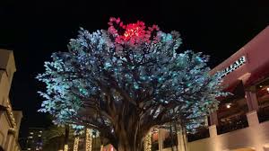 Colorful Wishing Tree Illuminates Reborn Rosemary Square In