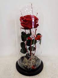 Forever Big Head Red Roses In Glass 30