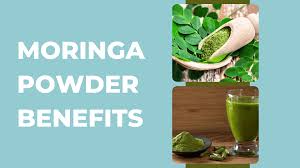 moringa powder benefits for males