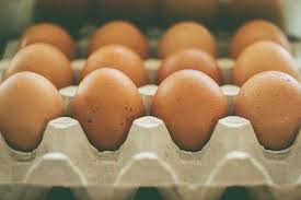 eggs the nutrition source harvard t