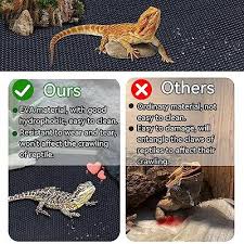 mewtogo reptile carpet bearded dragon