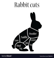 Rabbit Butcher Chart