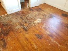 get wood floor damage repair