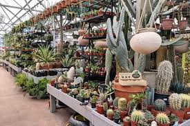 the best garden centers greenhouses