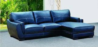 reasons the blue leather couch of best