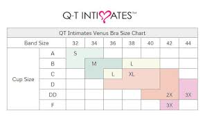 Qt Intimates Essentials Venus Medium Impact Sports Bra
