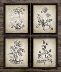 Antique Plant Wall Art Set Of 4