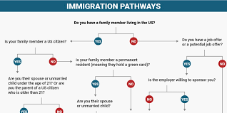 Immigration Flow Chart Uscis Organizational Chart 48