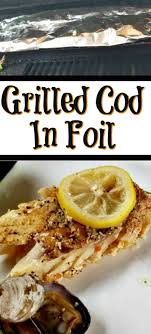 grilled cod in foil recipe that guy