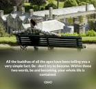 Image result for Osho’s Insights