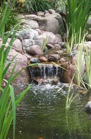 It's hard to believe that garden ponds were fairly rare not so long ago. 37 Backyard Garden Waterfall Ideas Sebring Design Build
