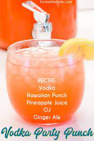 vodka party punch the farmwife drinks