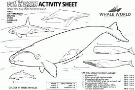 The spruce / wenjia tang take a break and have some fun with this collection of free, printable co. Orca Whale Coloring Page Worksheets 99worksheets