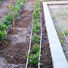 In Line Drip Irrigation Etc For