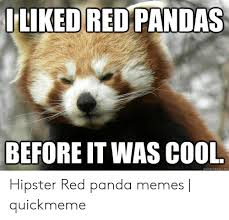 Please follow #iloveredpandas cheeky red panda cub at the woodland park zoo #redpanda #panda #cutebear #bear #animal #firefox #panda #pandabear. Iliked Redpandas Before It Was Cool Quickmemecom Hipster Red Panda Memes Quickmeme Hipster Meme On Awwmemes Com
